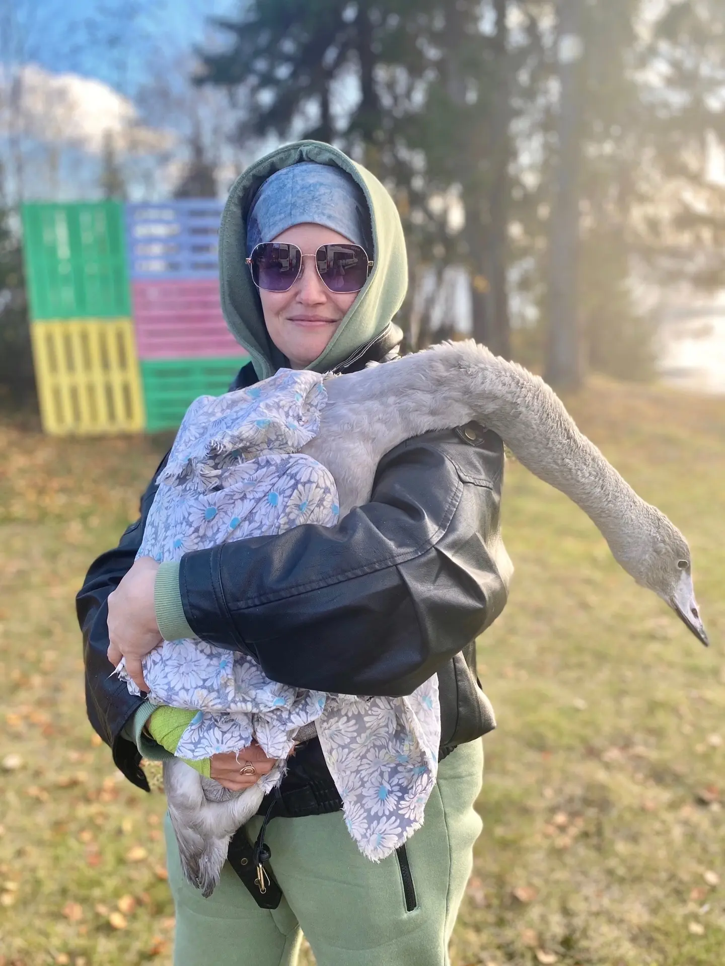 Возвращение домой 🦢