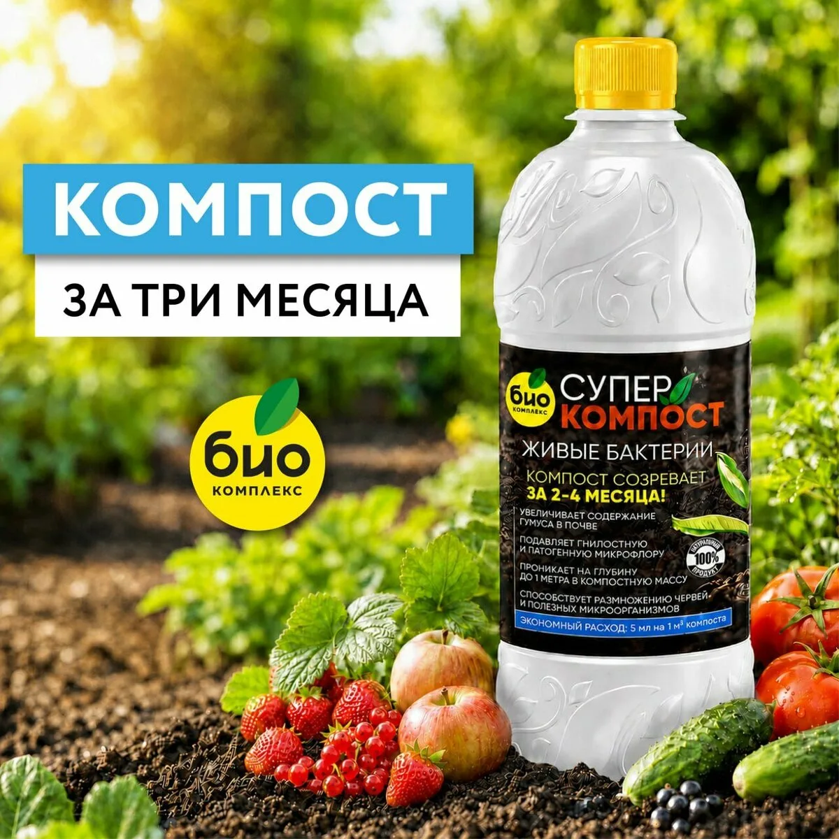 Изображение 1 к публикации «Огород с Вероникой»