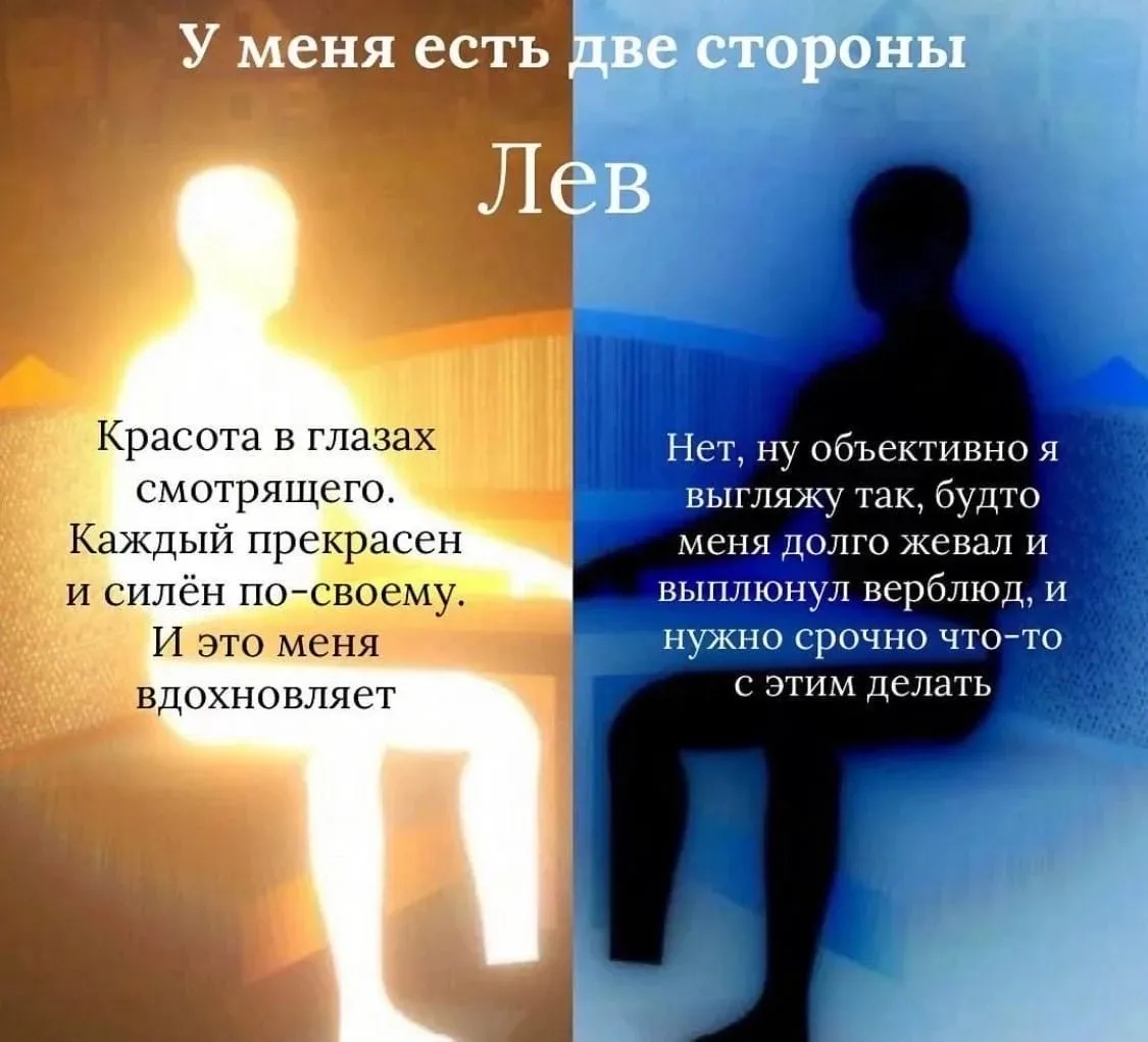 «Две стороны Луны»