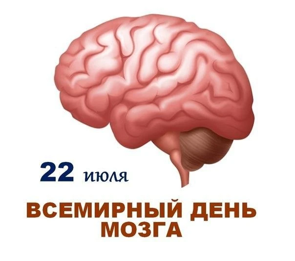 ✅ 22 июля отмечают Всемирный день мозга. 

Не секрет, что головной мозг является главным органом цен
