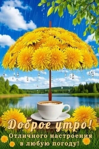 🎀 Красивые открытки