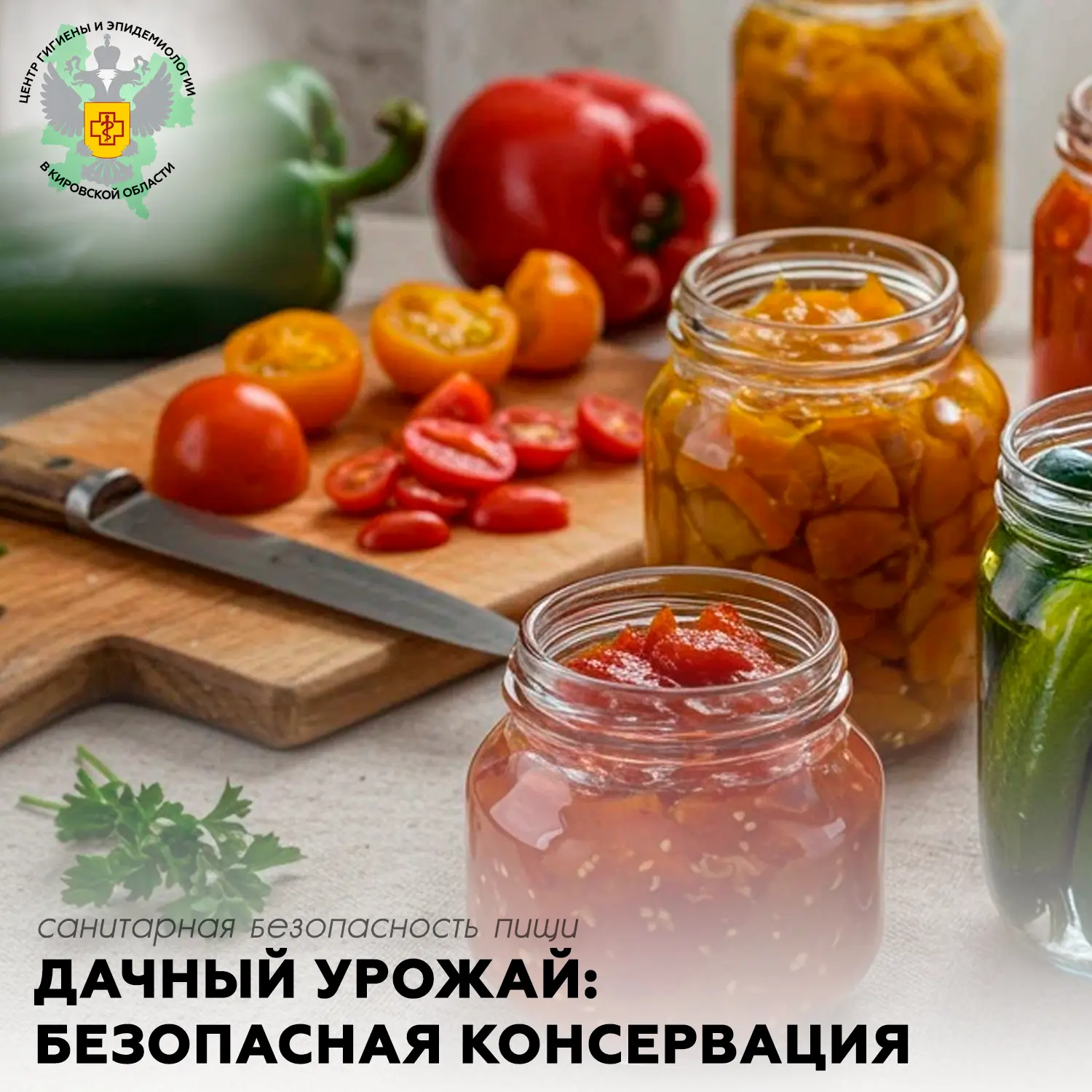 🌿 Дачный урожай: как безопасно консервировать