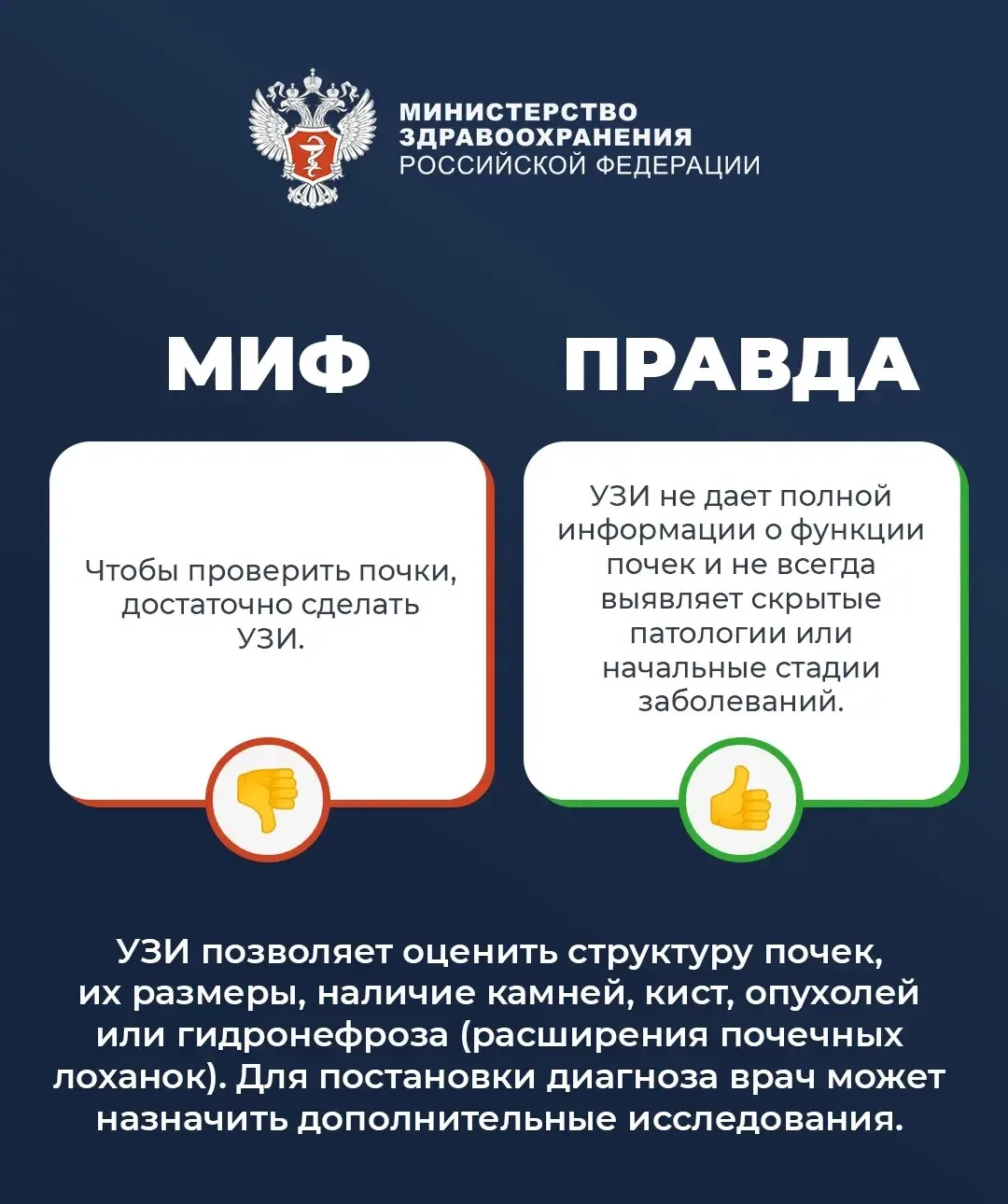 🤔 #ПростыеПравила: Мифы и правда о почках