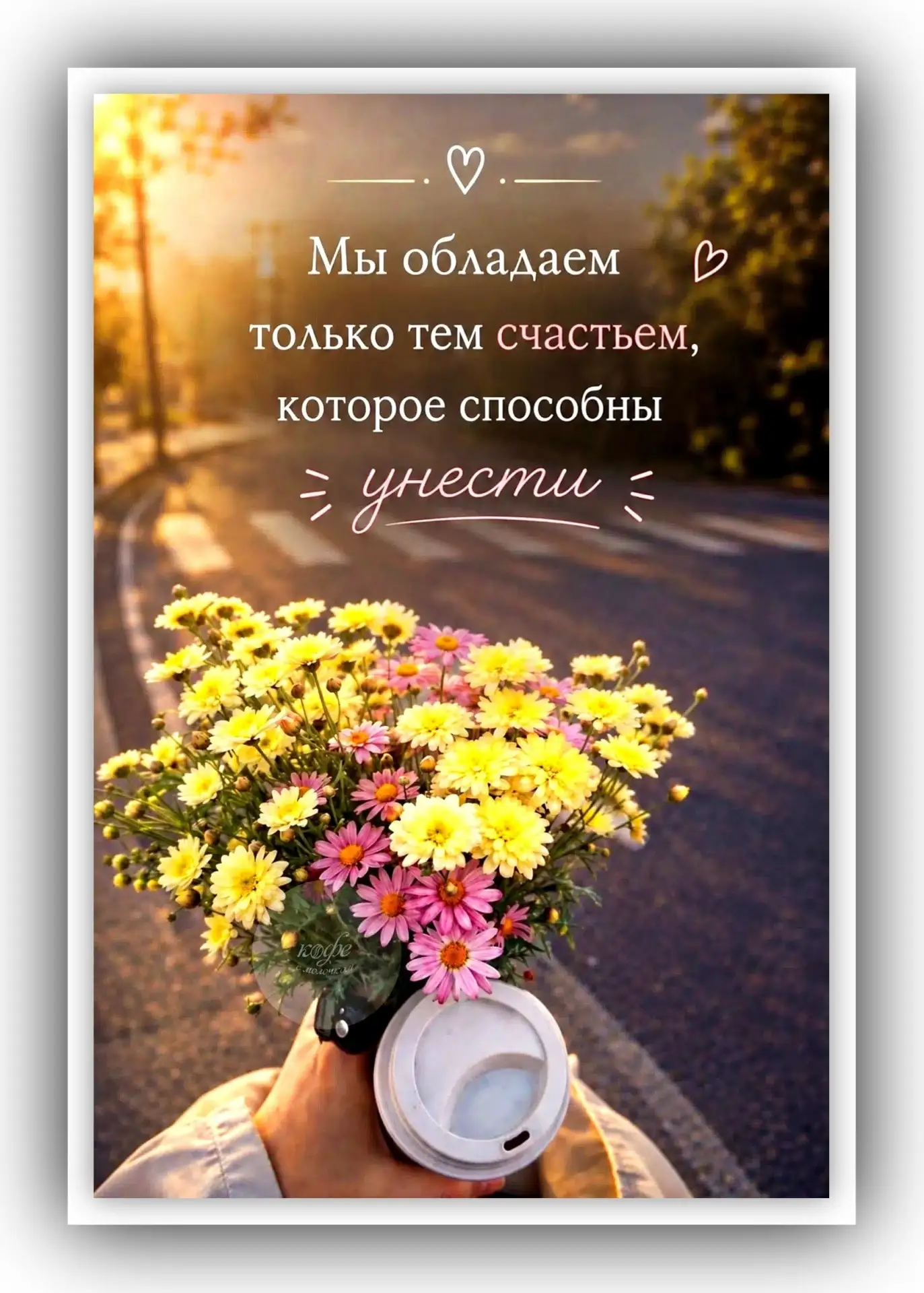 ОТКРЫТКИ