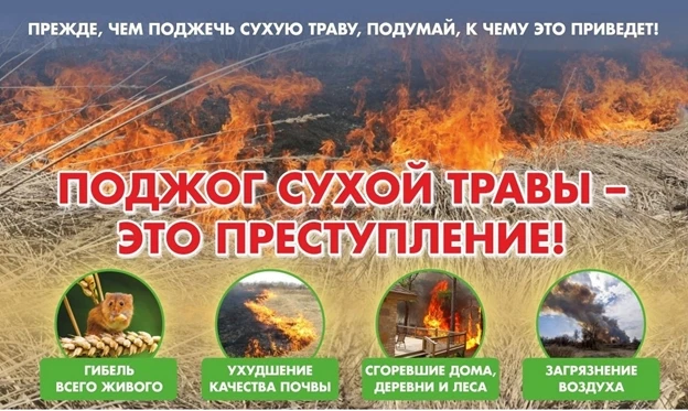В большинстве случаев прошлогоднюю сухую траву, стерню и тростник жгут, руководствуясь ...
