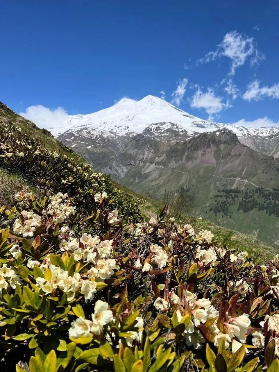 🏔 Гора Эльбрус