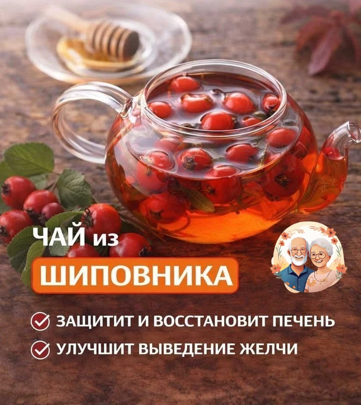 🌿 Шиповник: природный эликсир здоровья для людей золотого возраста 🌿