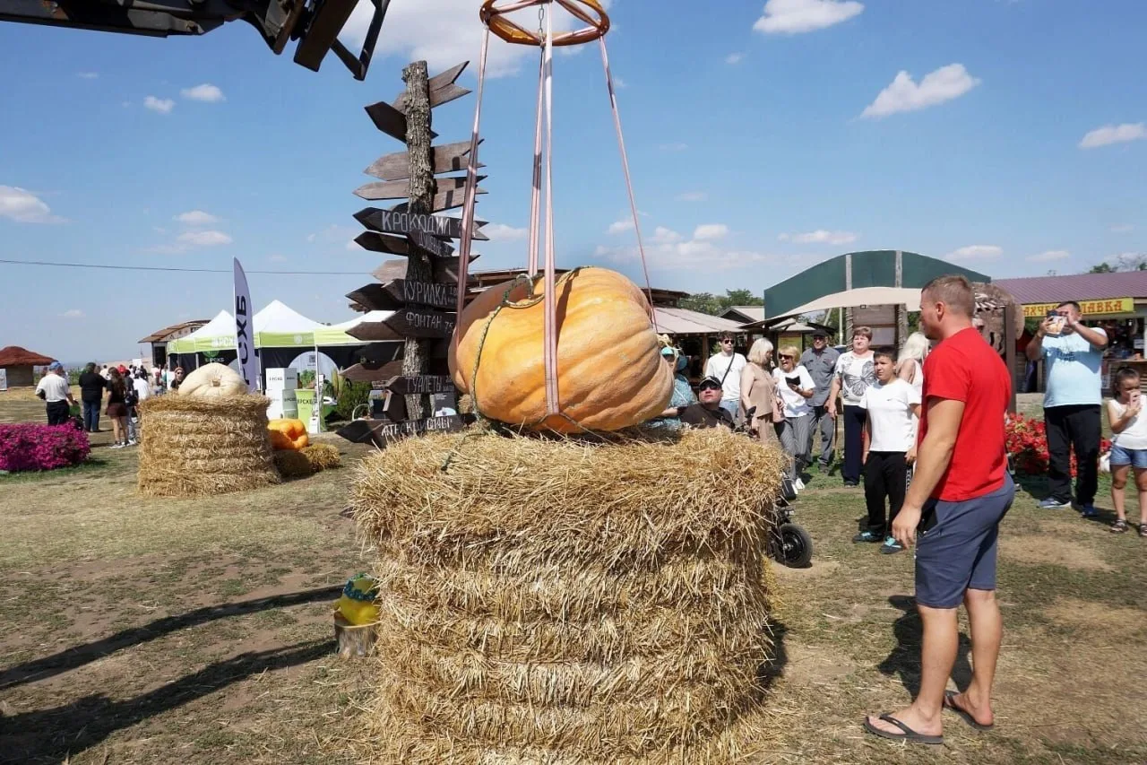 🎃 Гигантскую тыкву весом в 200 килограмм показали во время фестиваля «Агробатл», котор...