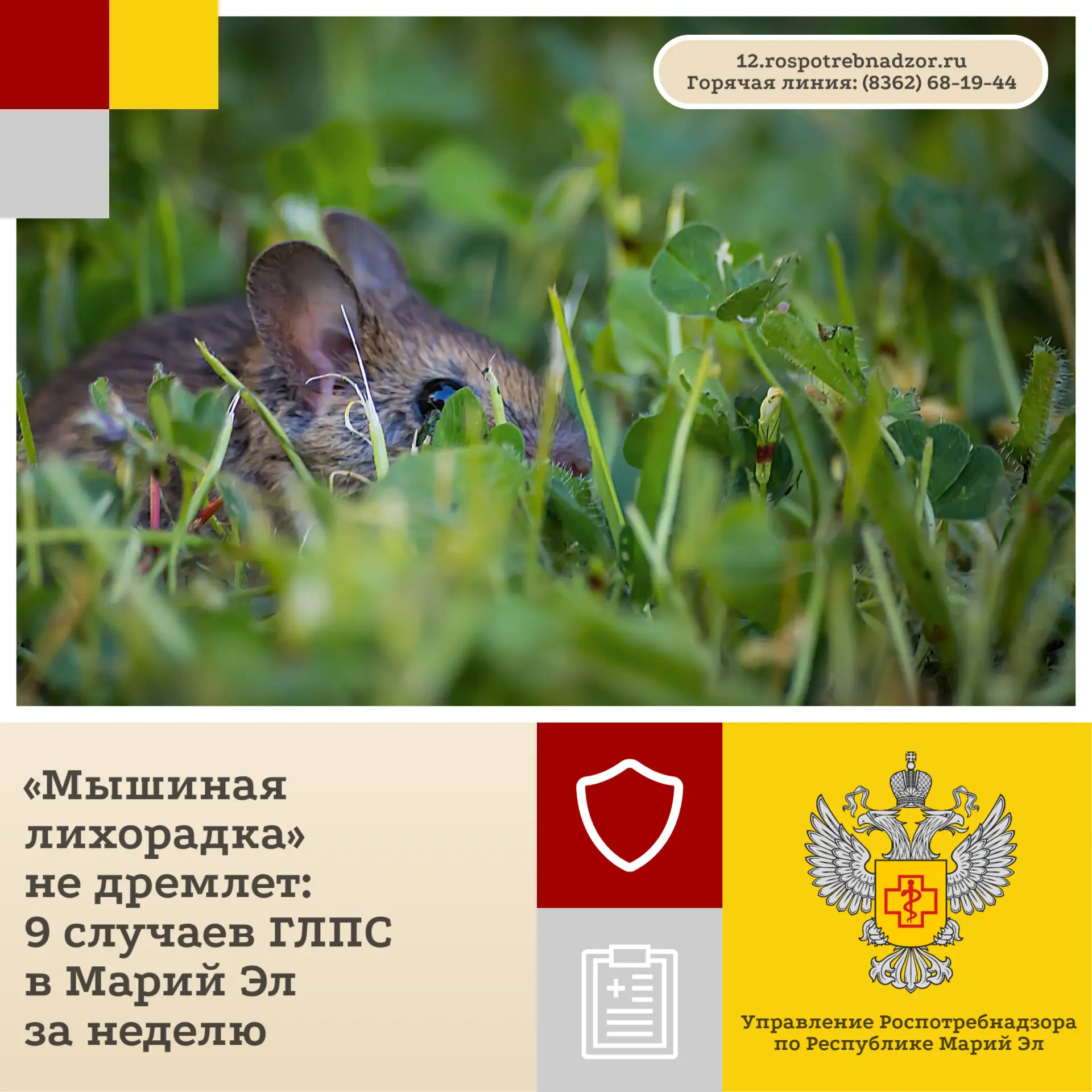 С 17 по 23 августа в республике по предварительным диагнозам зарегистрировано 9 случаев...