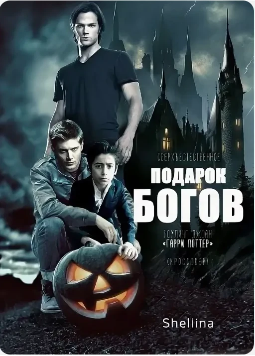 Книга: «Подарок богов», Олеся Шеллина