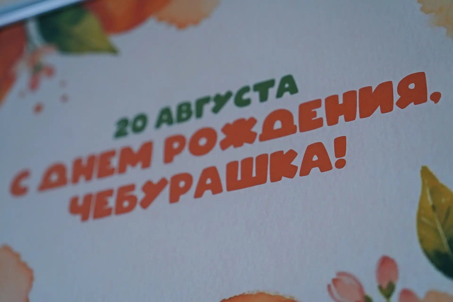 ДЕНЬ РОЖДЕНИЯ ЧЕБУРАШКИ 🍊