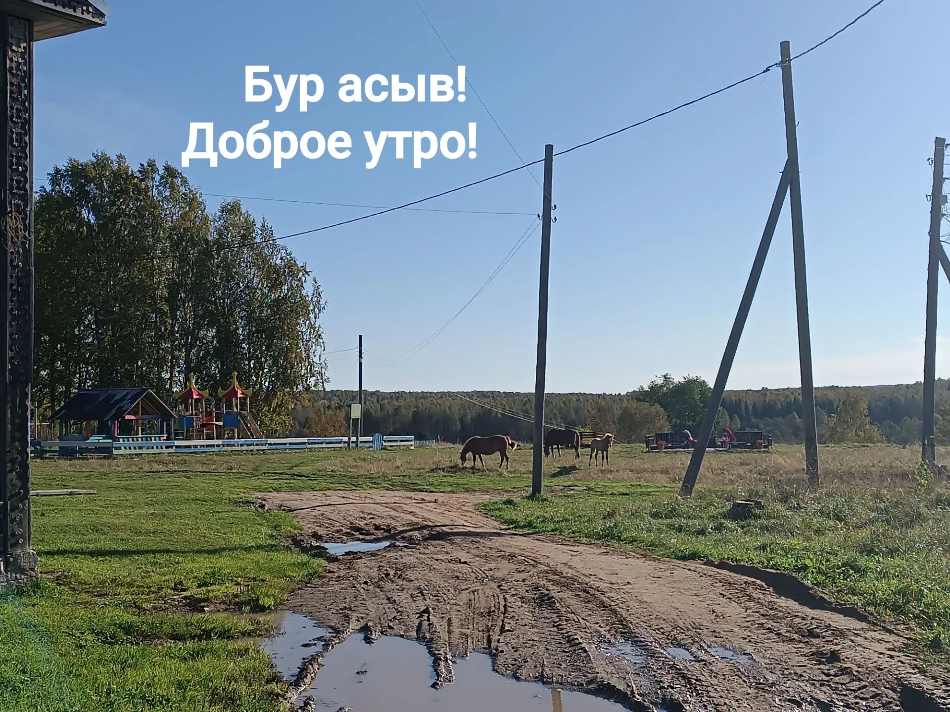 Доброе утро!