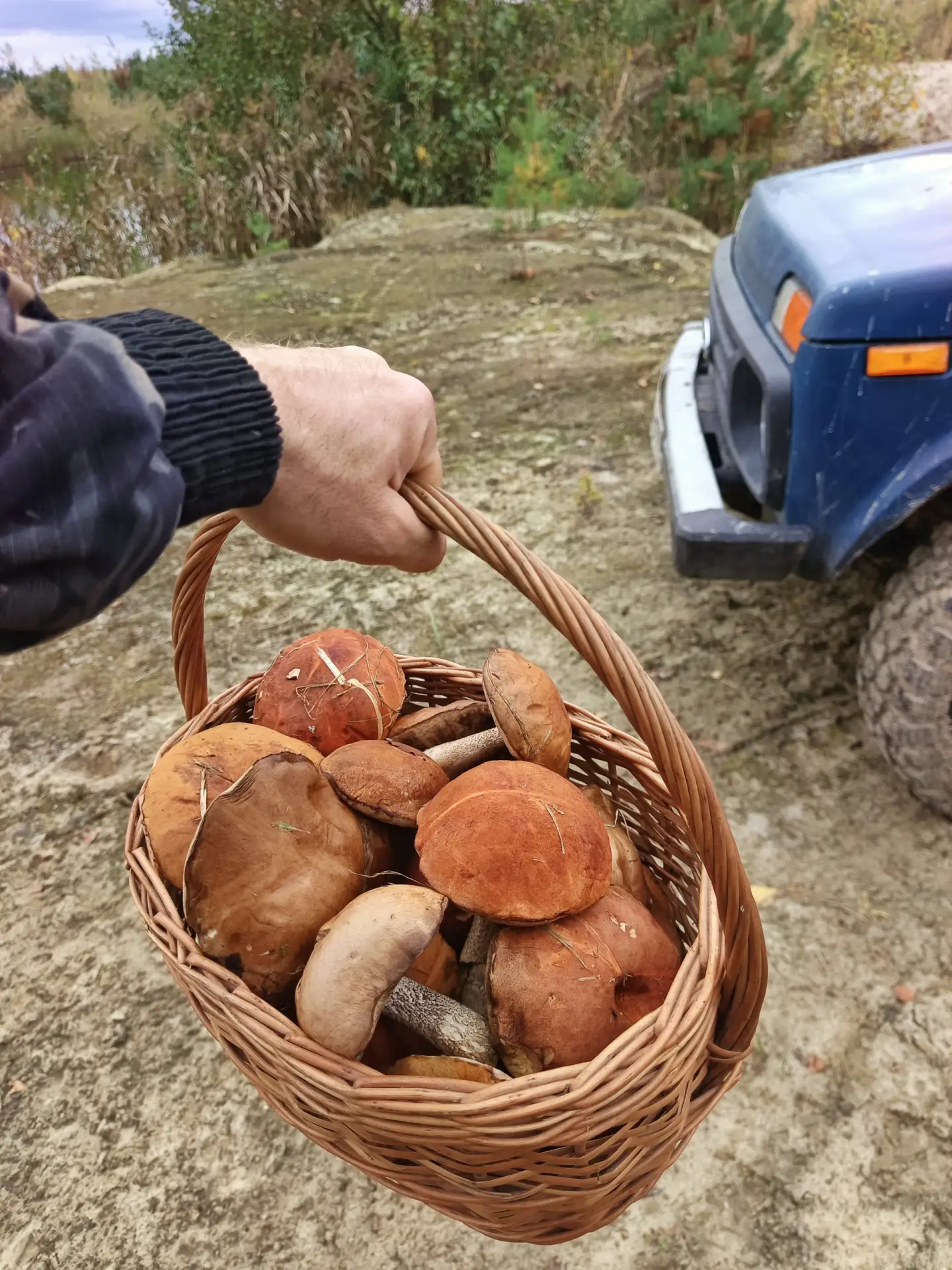 🍄‍🟫Обычная прогулка в лесу 🌲 с собакой 🦮 обернулась , приятным сюрпризом .