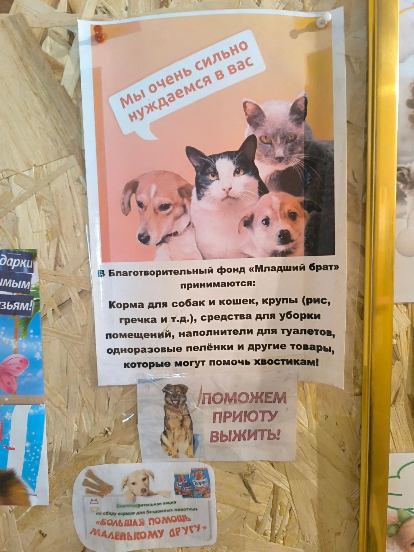 🗓 Обычное воскресенье, но для нас — день добрых дел.