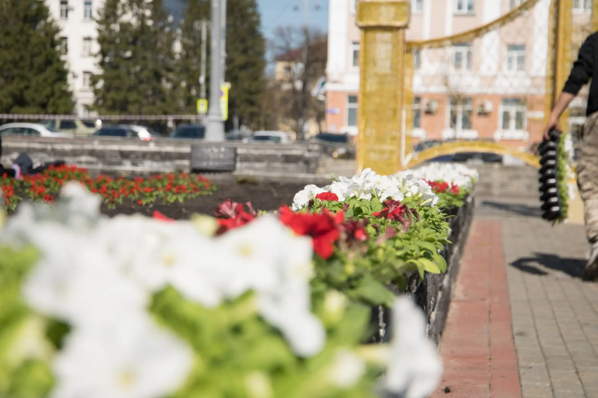 В преддверии Дня Победы в городе продолжается высадка цветочной рассады. Сегодня очередная партия яр