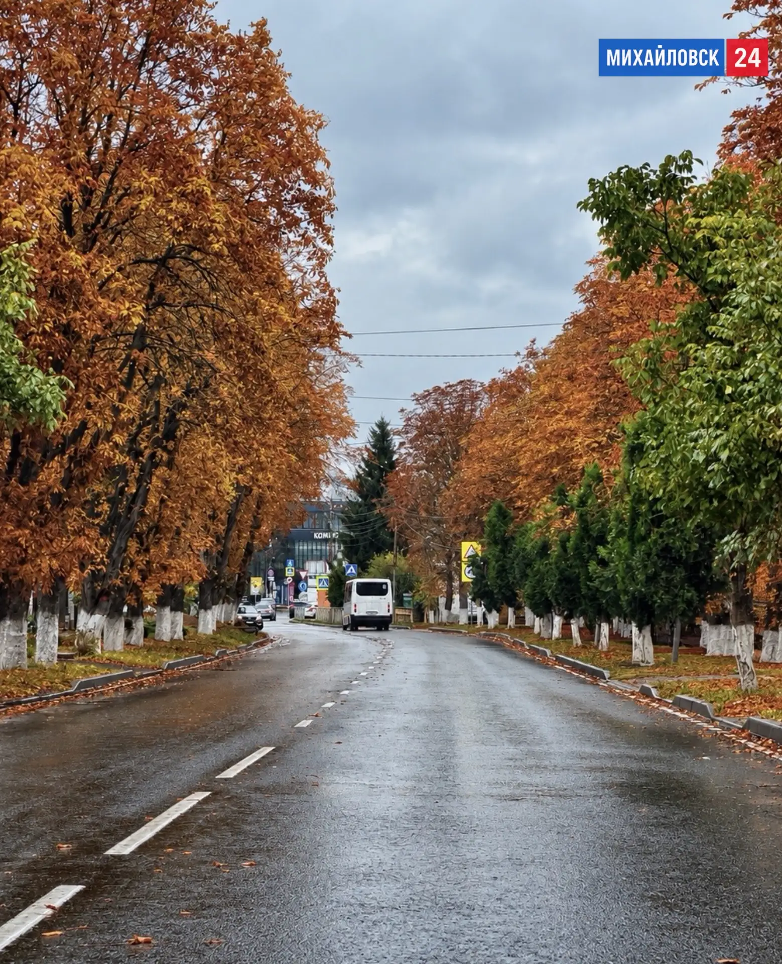 Ул. Ленина, Михайловск