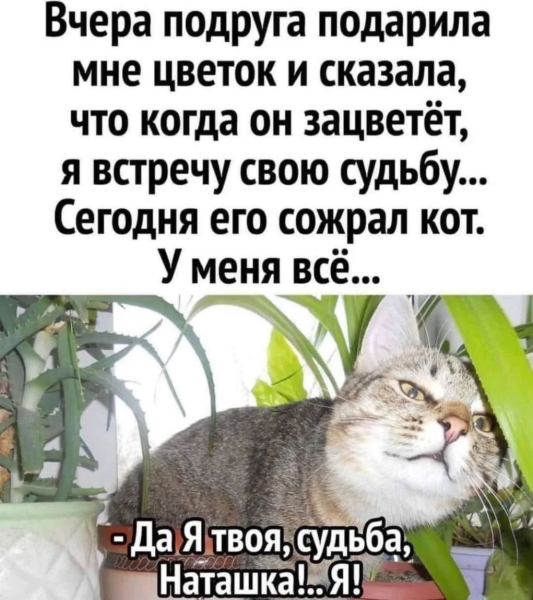 👉 Ёжка - Подписаться