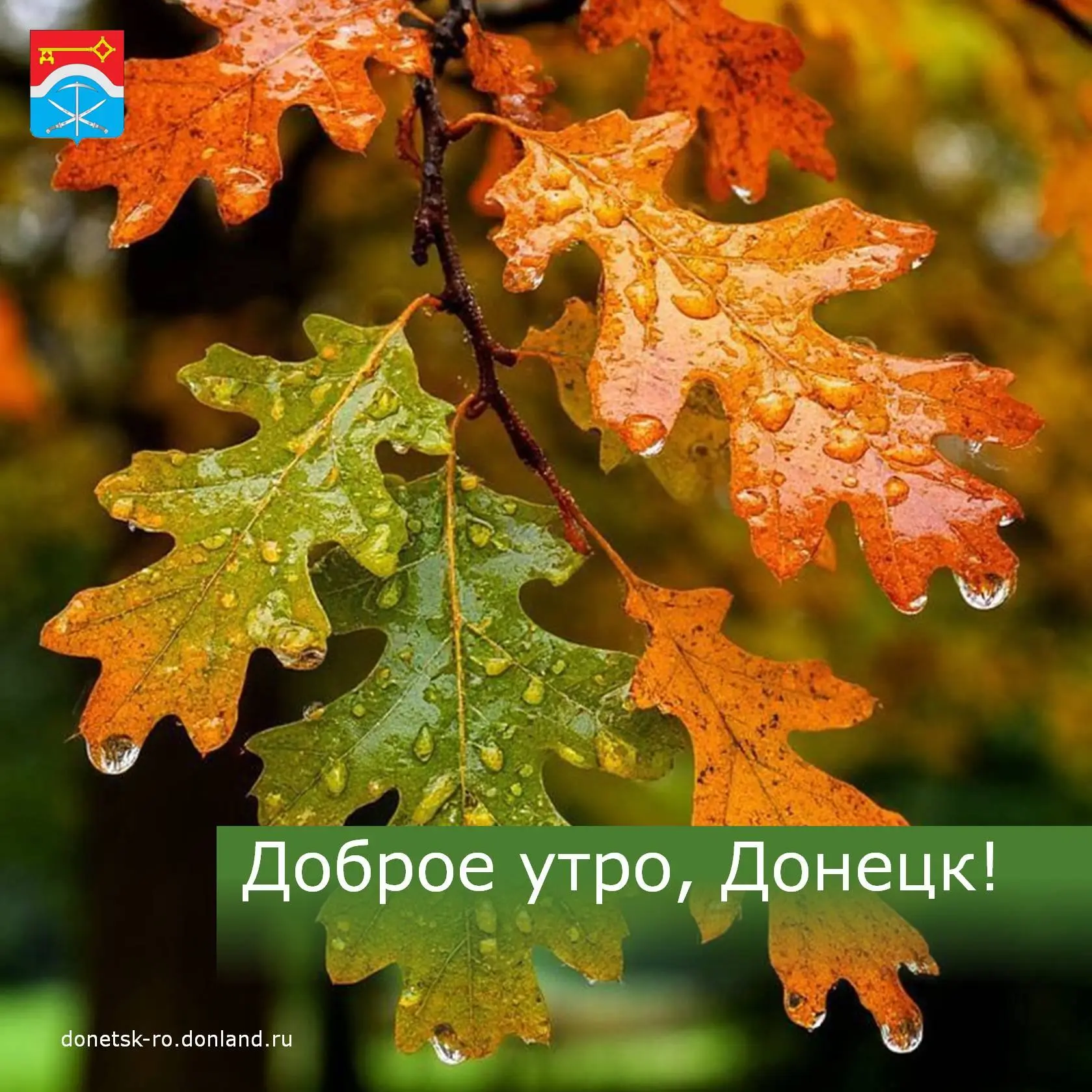 Доброе утро, дончане!