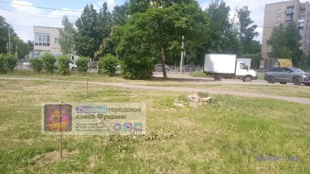 📍 Очередное сообщение о том, что сломали молодое дерево