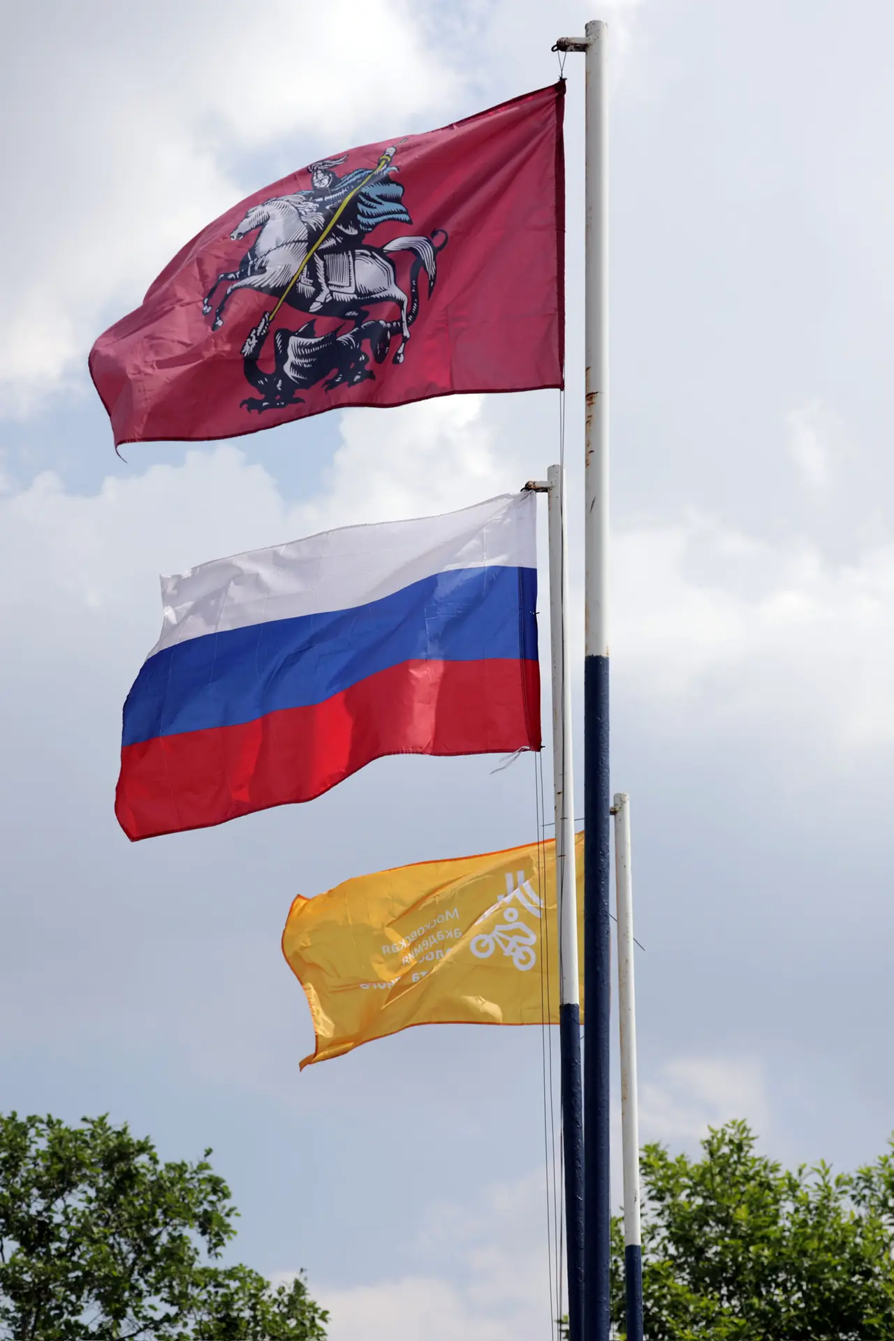 ☀️ Начните утро с созерцания красоты - и  воскресенье будет прекрасным! 

Ещё много солнечных фотогр