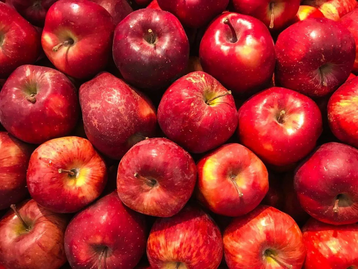Причины, по которым нужно есть яблоки 🍎

-  Яблоки защищают от болезни Альцгеймера.
- Яблоки полезн