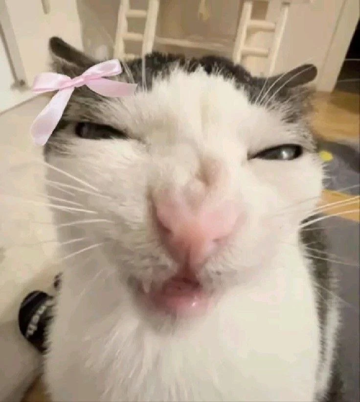 *мы бро?