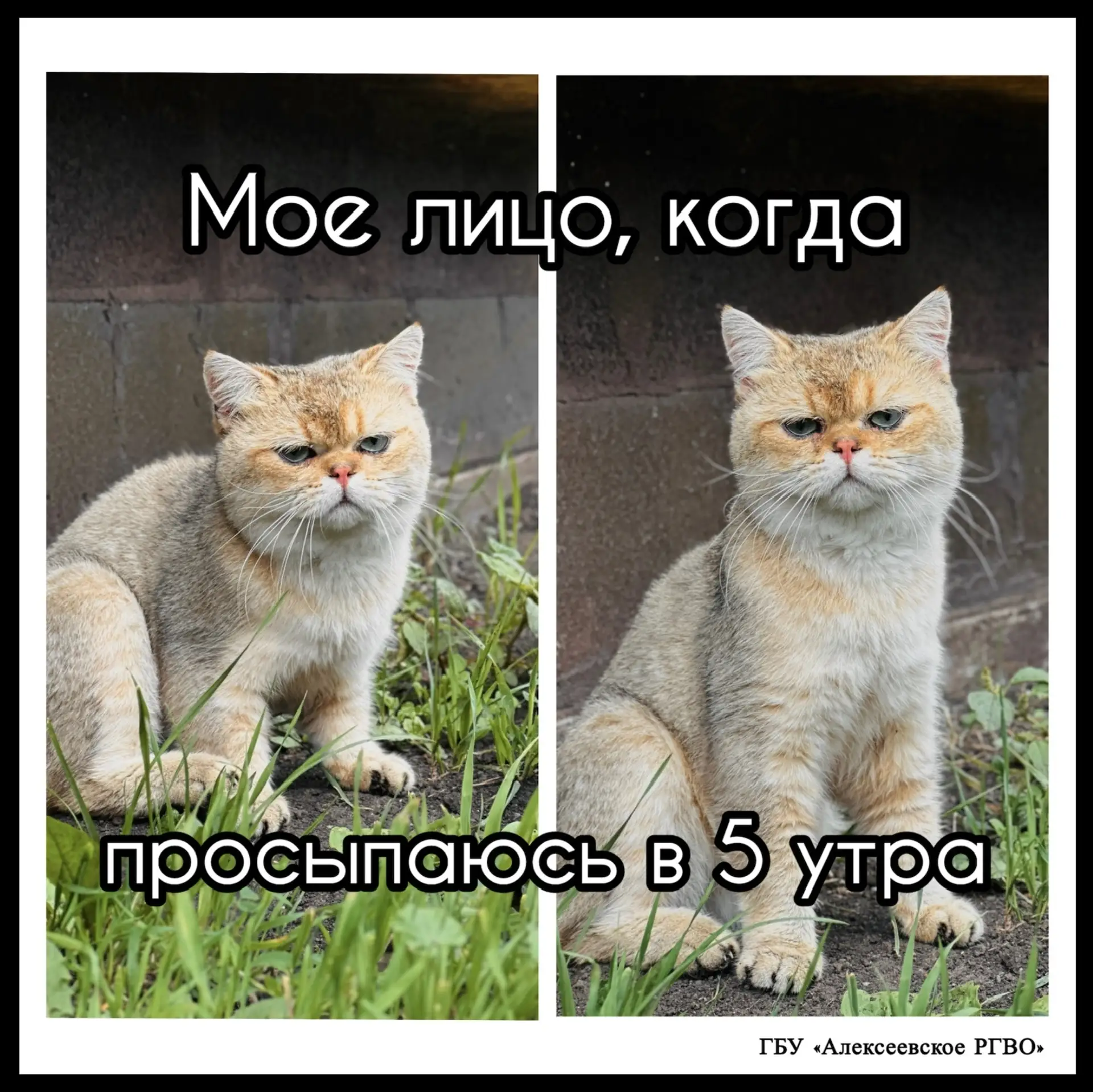 ⚡️Выезды в частный сектор уже стартовали!