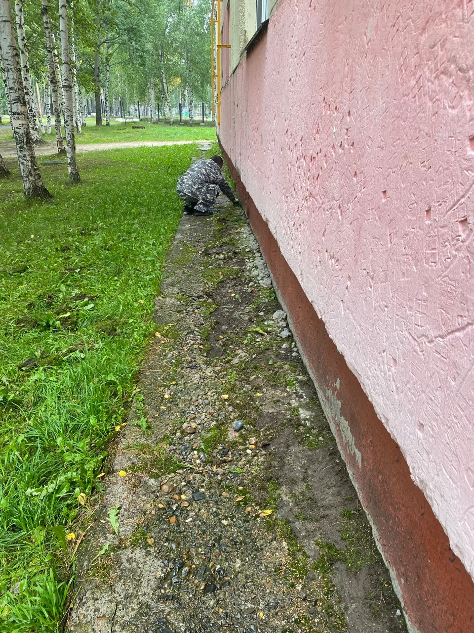 🛠Работы: