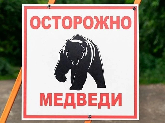 🐻 Внимание, жители и гости с.Покосное и п.Сосновый! 🐻