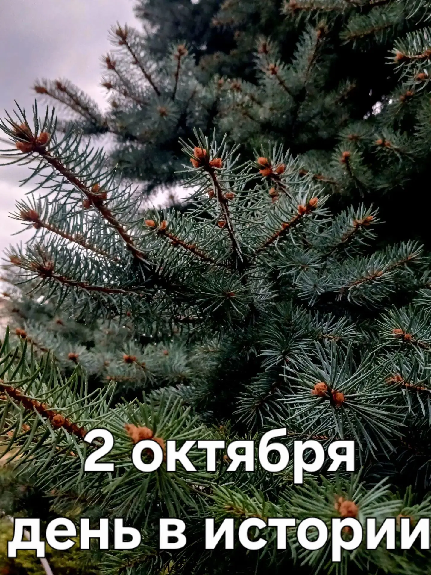 А знаете ли вы, что ❓