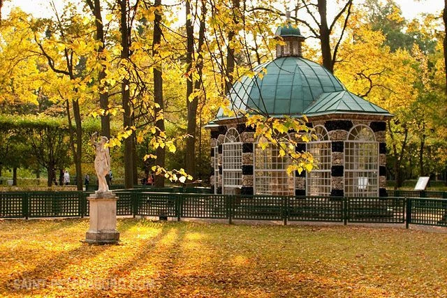 📌Дежурит поликлиническое отделение:                                                   ...