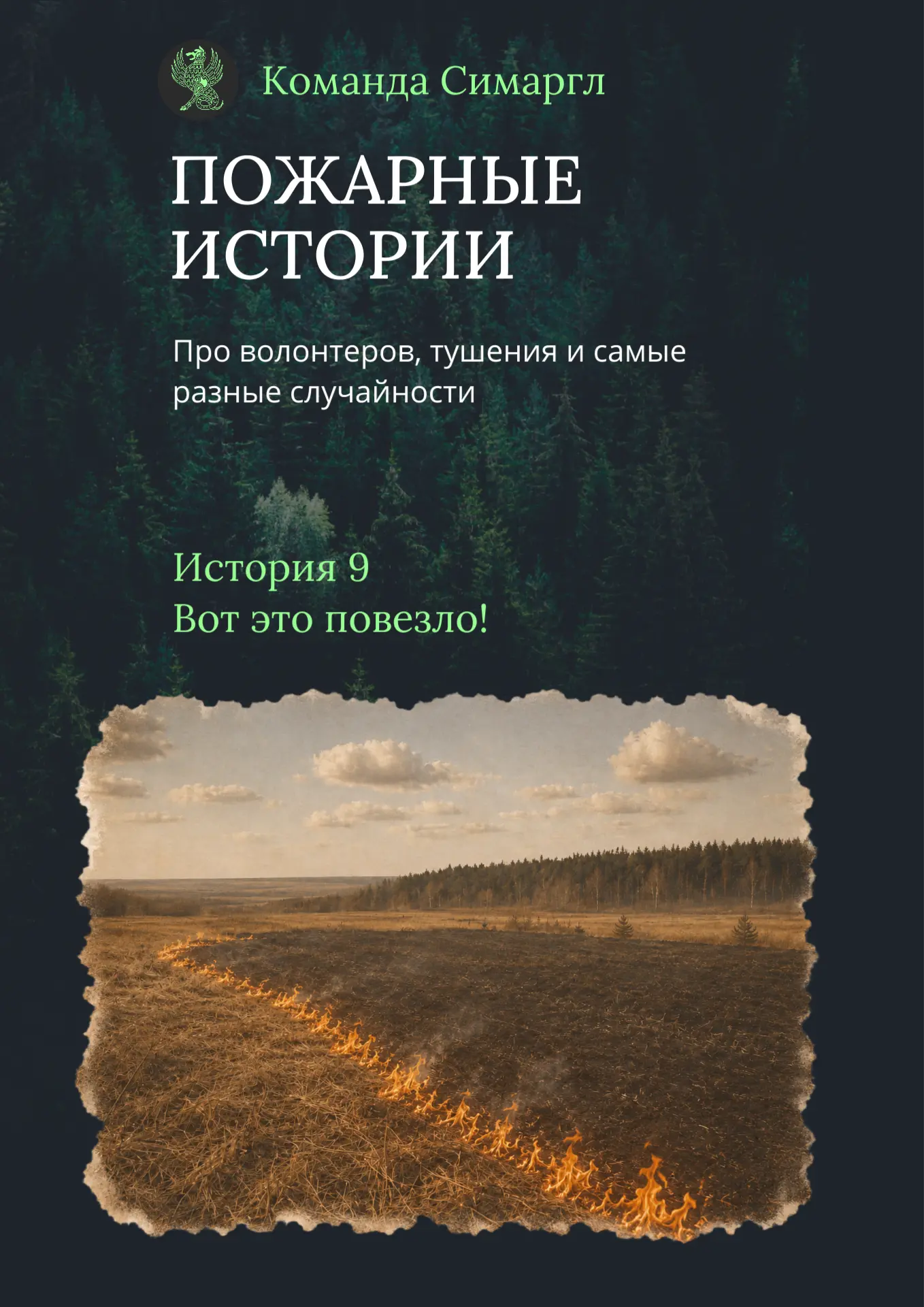 Пожарные истории: история девятая