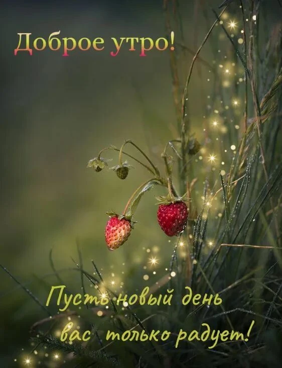 https://dzen.ru/a/ajIdlQk4dCHw7o9S?share_to=max