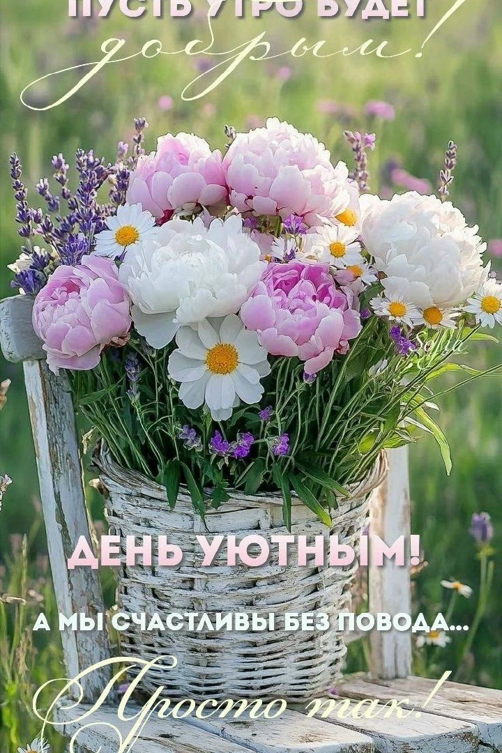 🌷 Открытки подписаться 👈