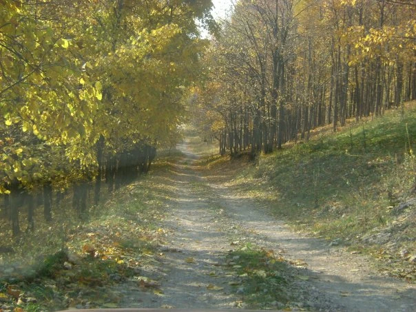 Присылайте Ваши фото в "Предложить пост"