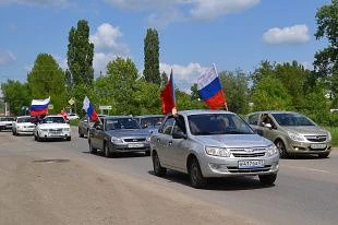 На протяжении нескольких лет ежегодно сообщество автолюбителей города Палласовки и райо...