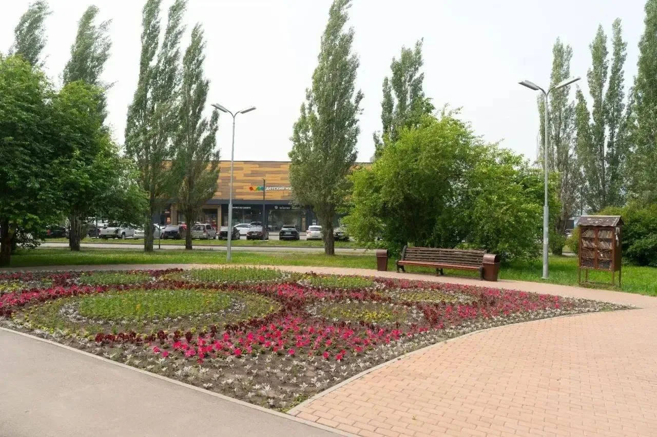 Живая изгородь из 15-ти лип и акаций появилась в сквере на Молодёжном.

Скоро здесь установят новую 