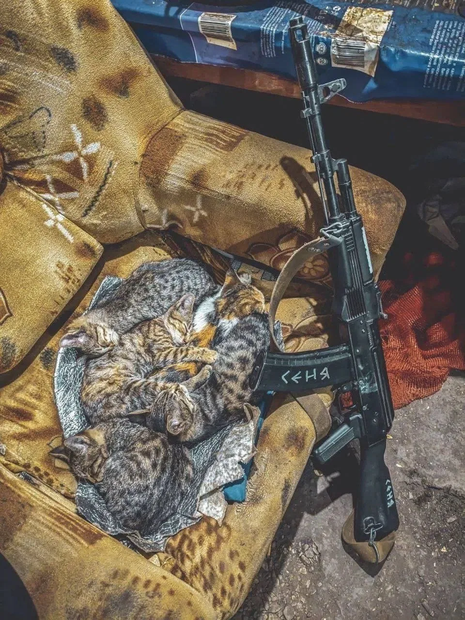 Доброй ночи ❤️