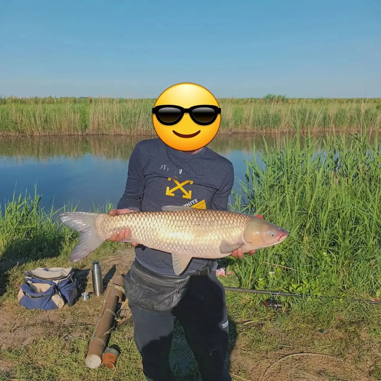 Дгк верхове, на саранчу.