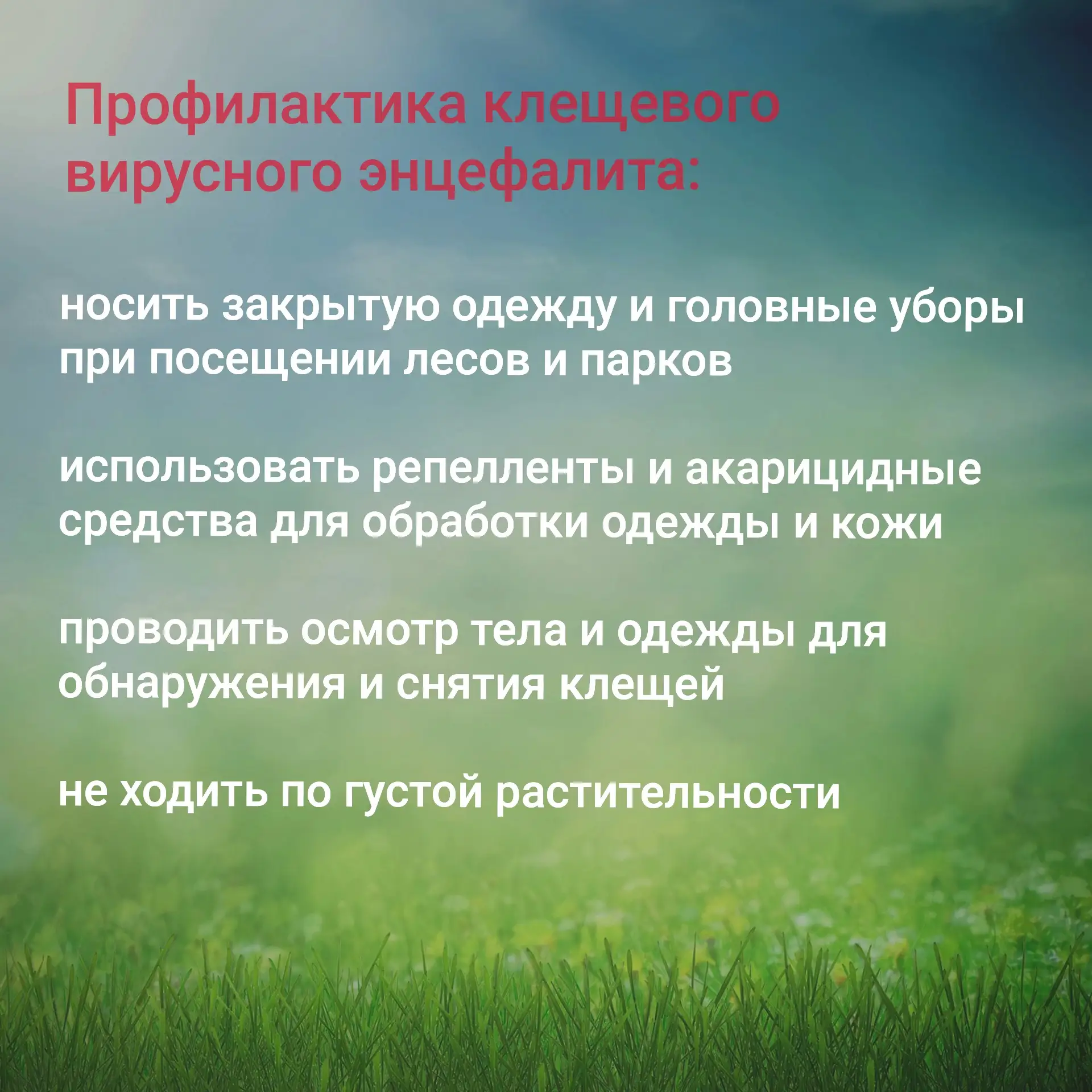 ❗️Осторожно - клещи: как уберечь себя от укуса маленького, но опасного врага...