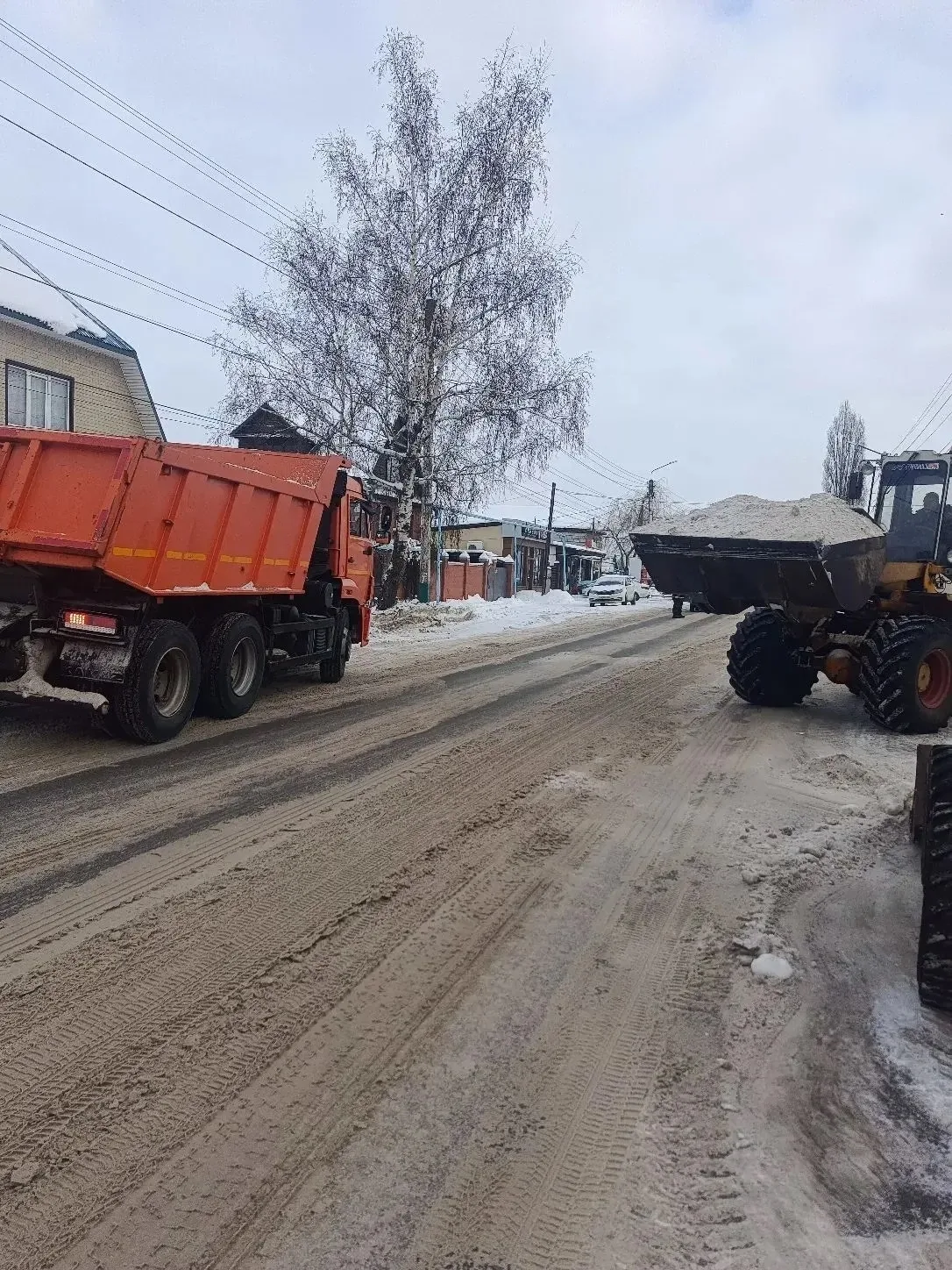 🚜 Мичуринские коммунальщики борются со снегом и гололедицей на городских улицах и тротуарах  Погода 