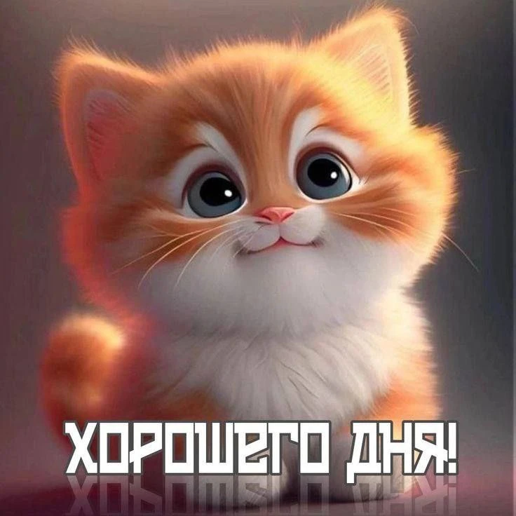 ~~~~~~~~~~~~~~~~~~~