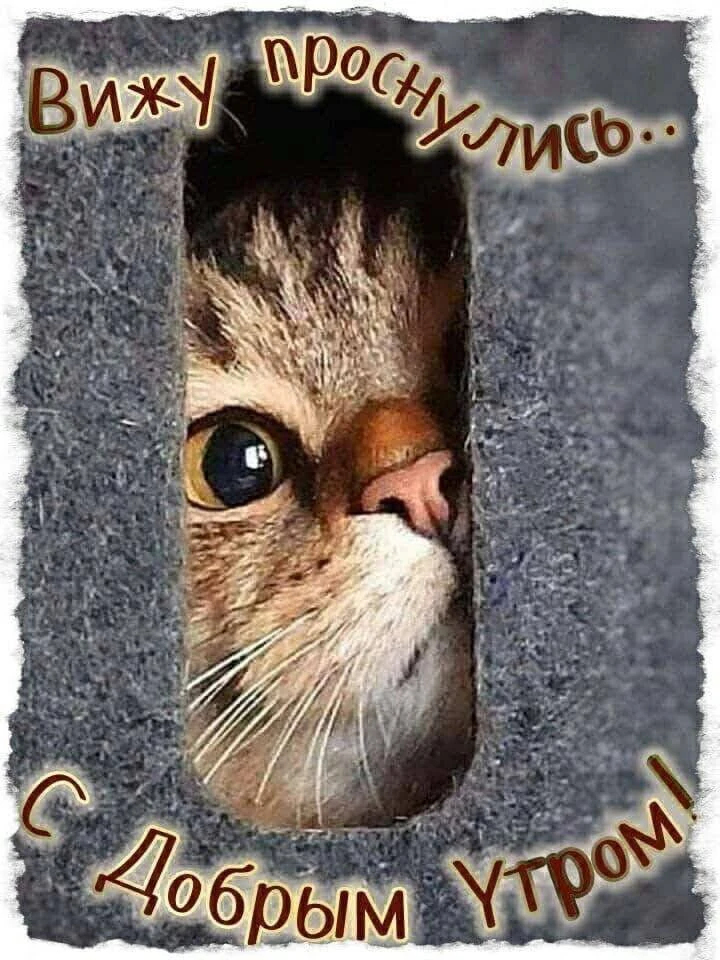 Открытки для улыбки 💌  Подписаться