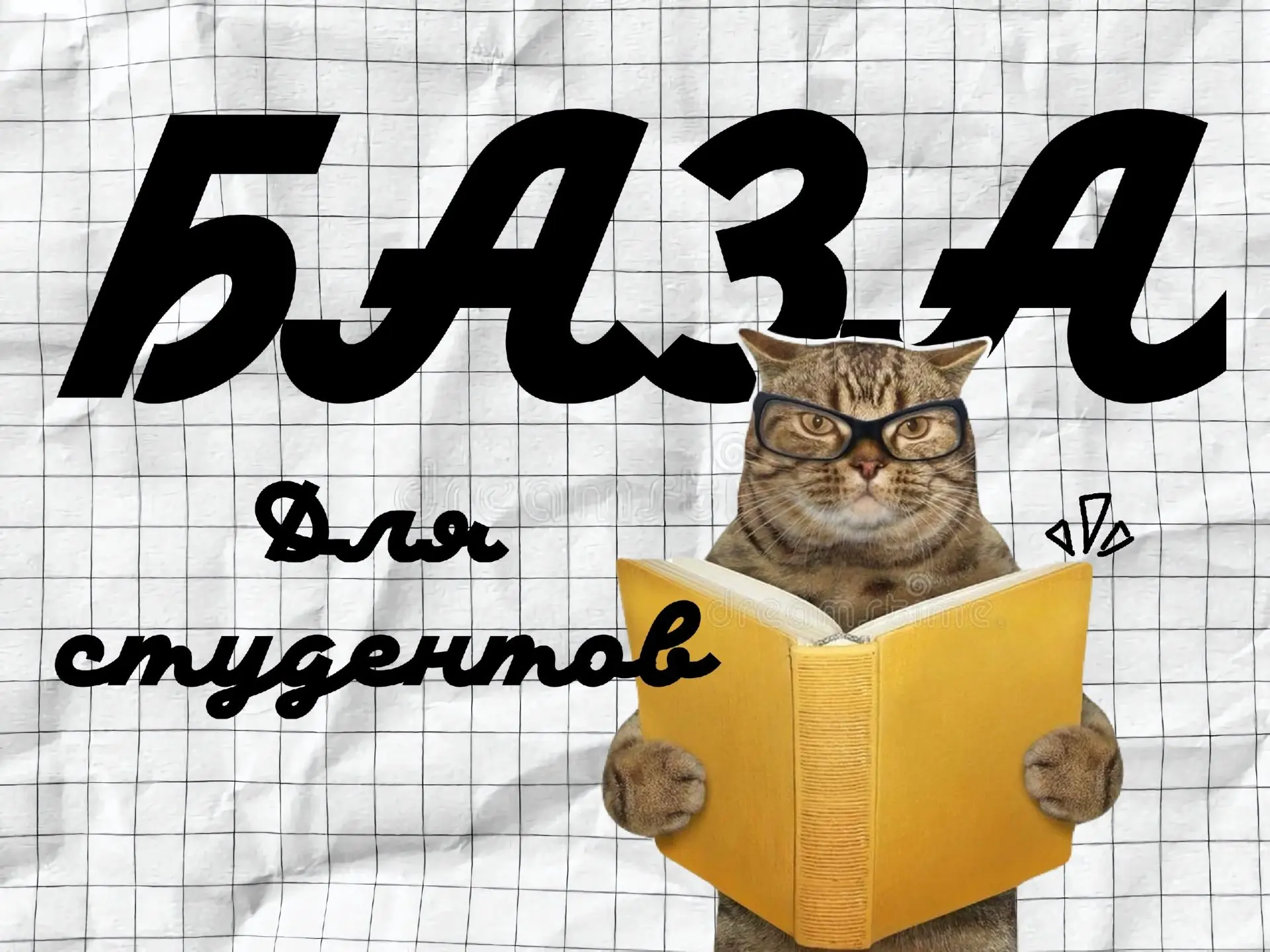 Это студенческая база: уровень «Бог». 🙈