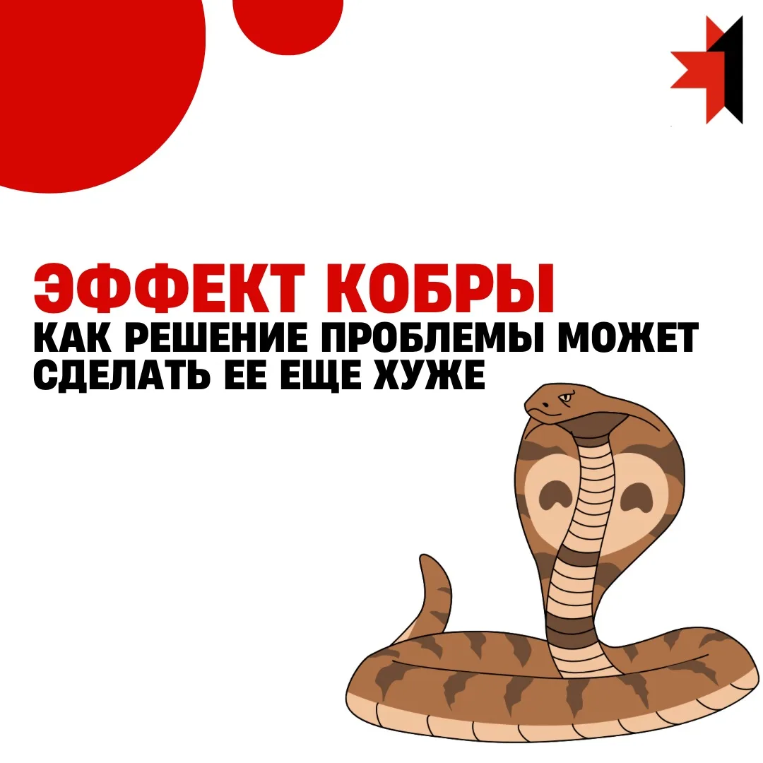 🐍 Эффект кобры: как решение проблемы может сделать её ещё серьёзнее