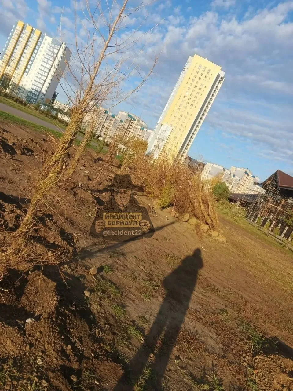 🌲 В парке за ТРЦ «Европа» высаживают вторую партию елей