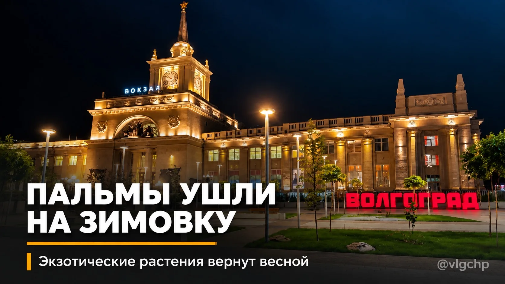 Волгоградские пальмы отправились на зимние каникулы 🌴