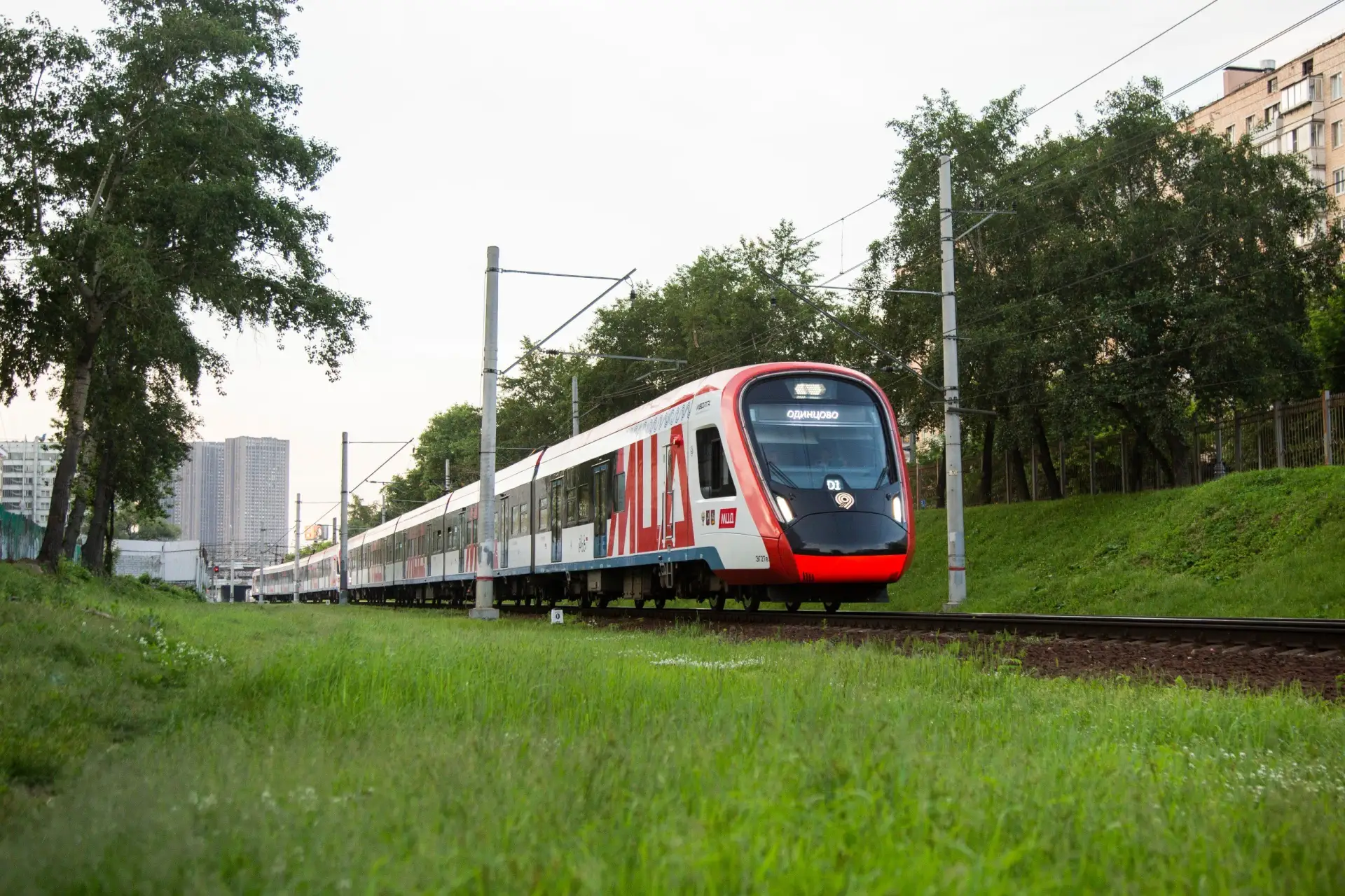 Августовские вечера ☀️