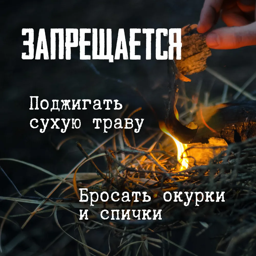 🔥 От одной спички: чем опасен пал травы  Сухая трава легко загорается, а огонь быстро распространяет