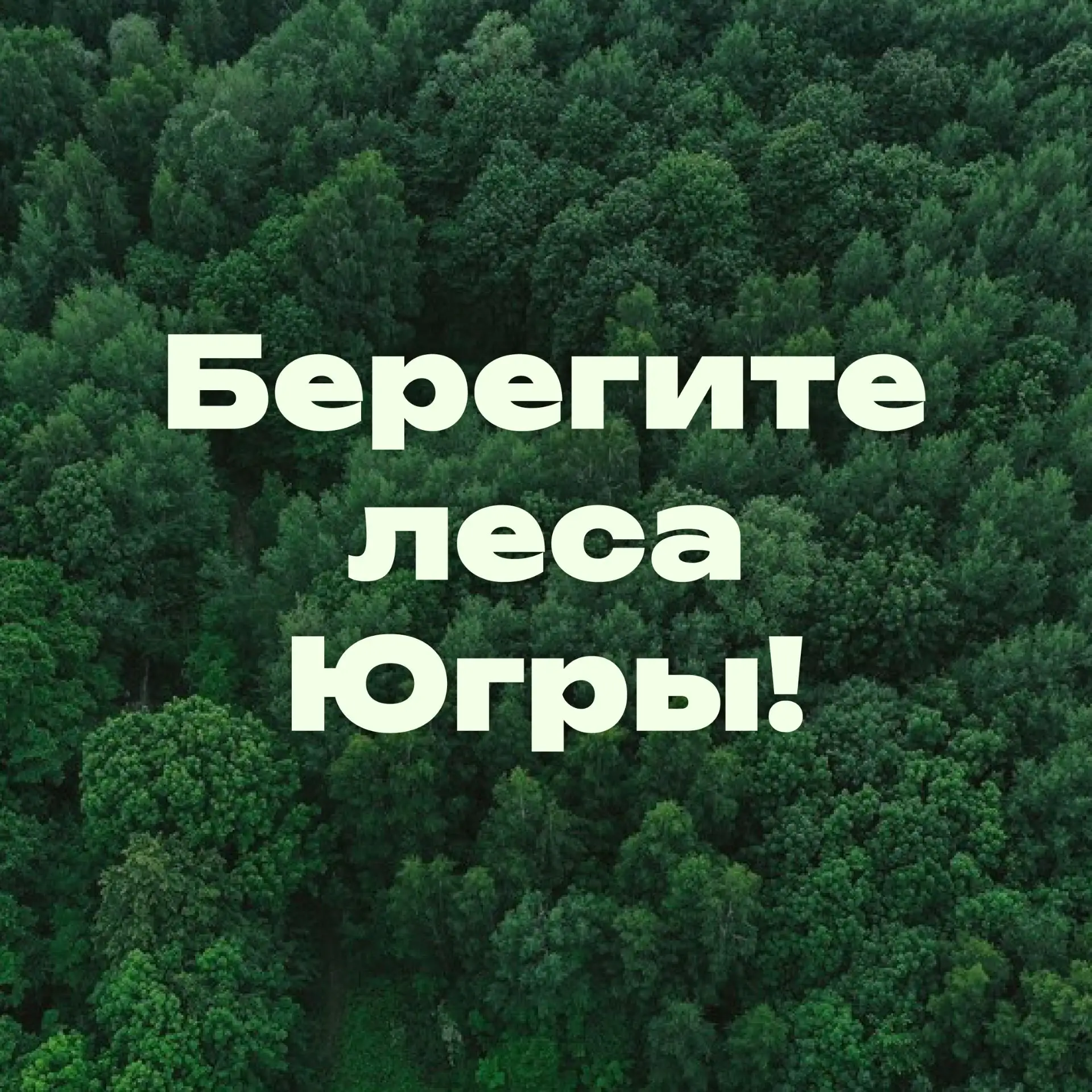 Лето – прекрасное время для отдыха на природе, но вместе с ним приходит и большая ответственность. С